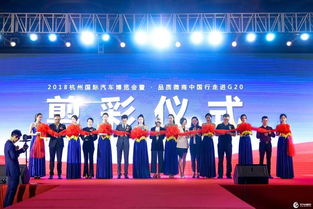 聚焦發(fā)展 2018中國杭州國際汽車博覽會盛況回顧——承接務(wù)實(shí)拓新各類經(jīng)濟(jì)技術(shù)策源地